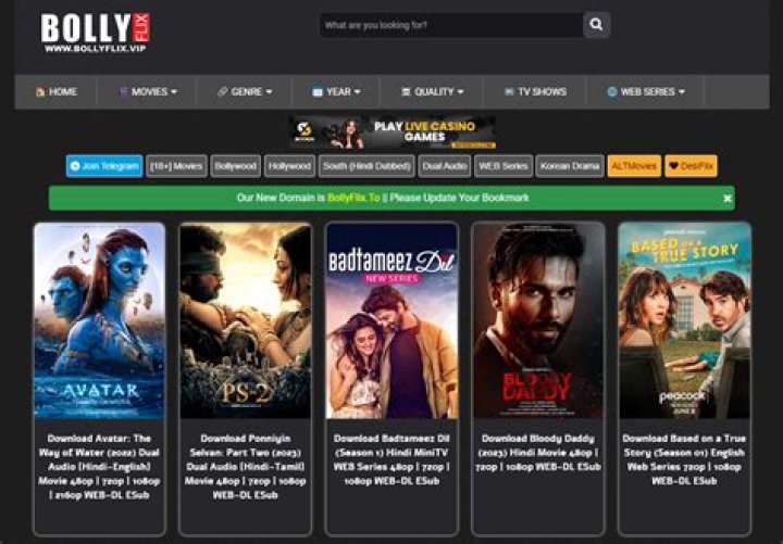 Bollyflix & More: Find Movies! No Results? Try This!